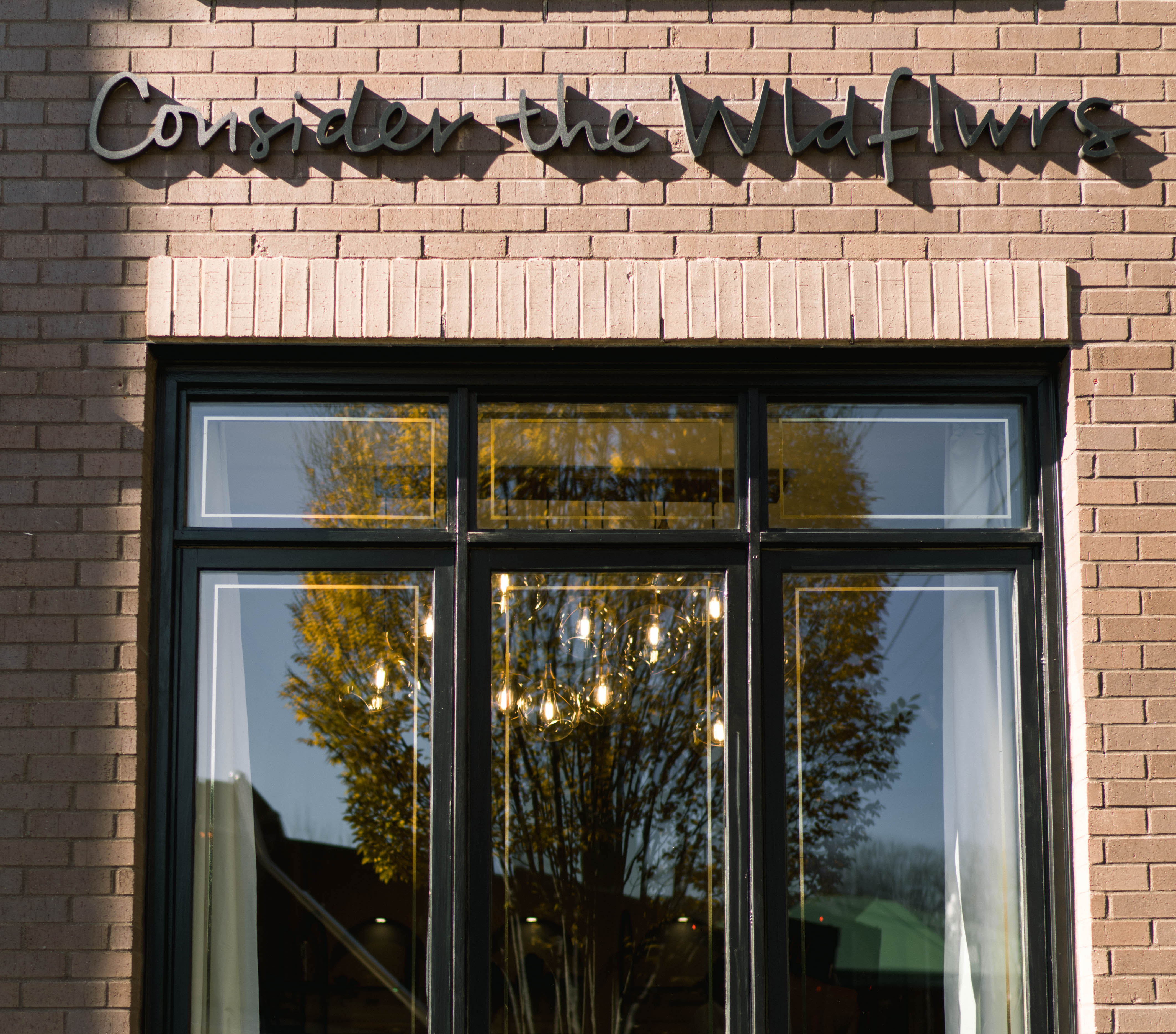 Planting New Roots in 12 South