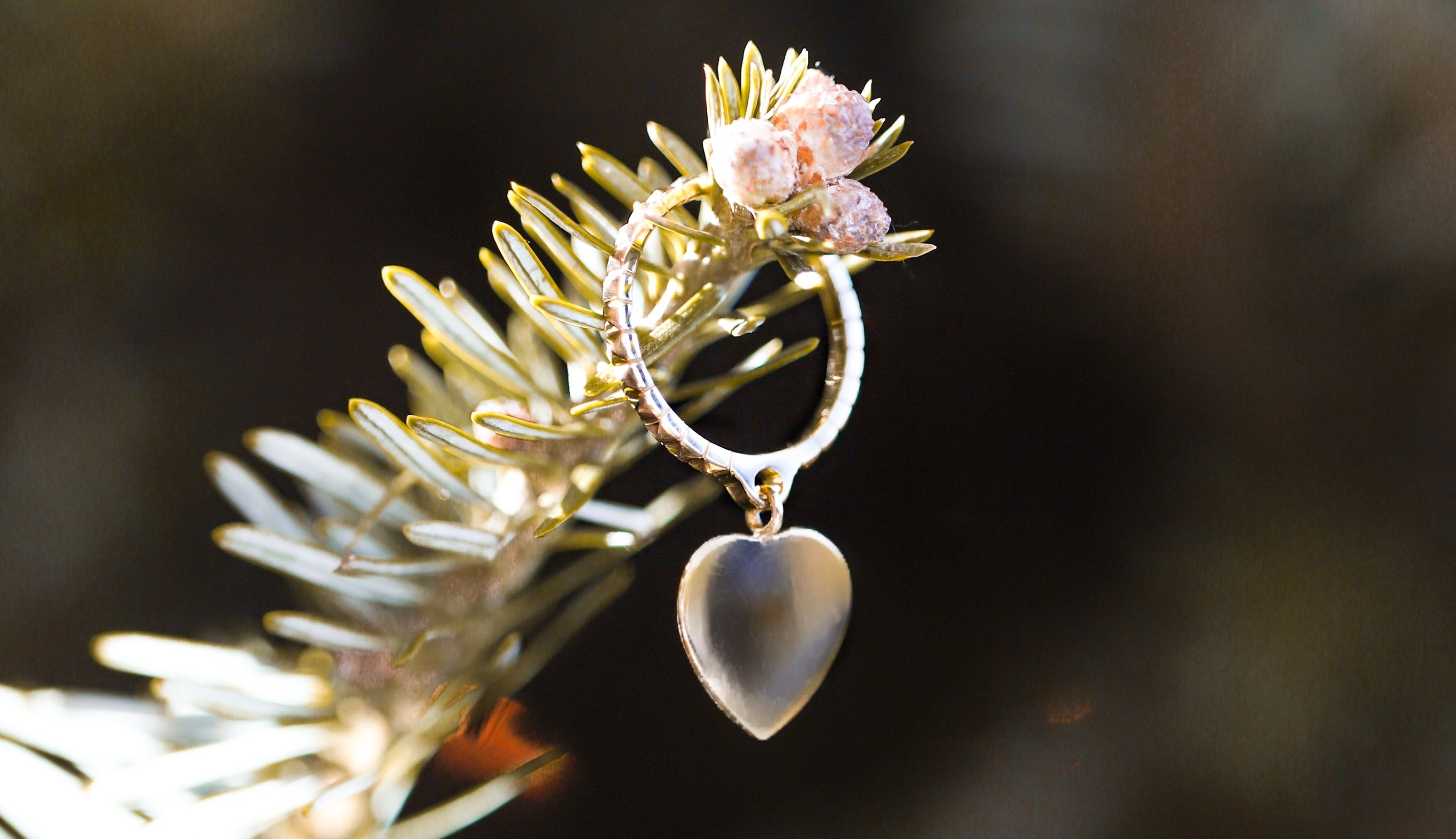 Our Finest Gifts for the Final Hour