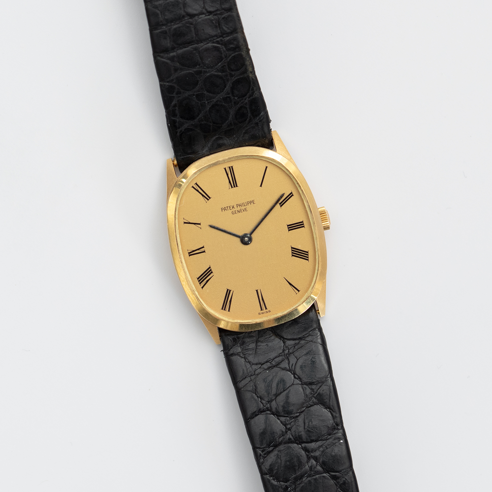 Patek Philippe Ellipse Roman Dial ref. 3546 - Consider the Wldflwrs