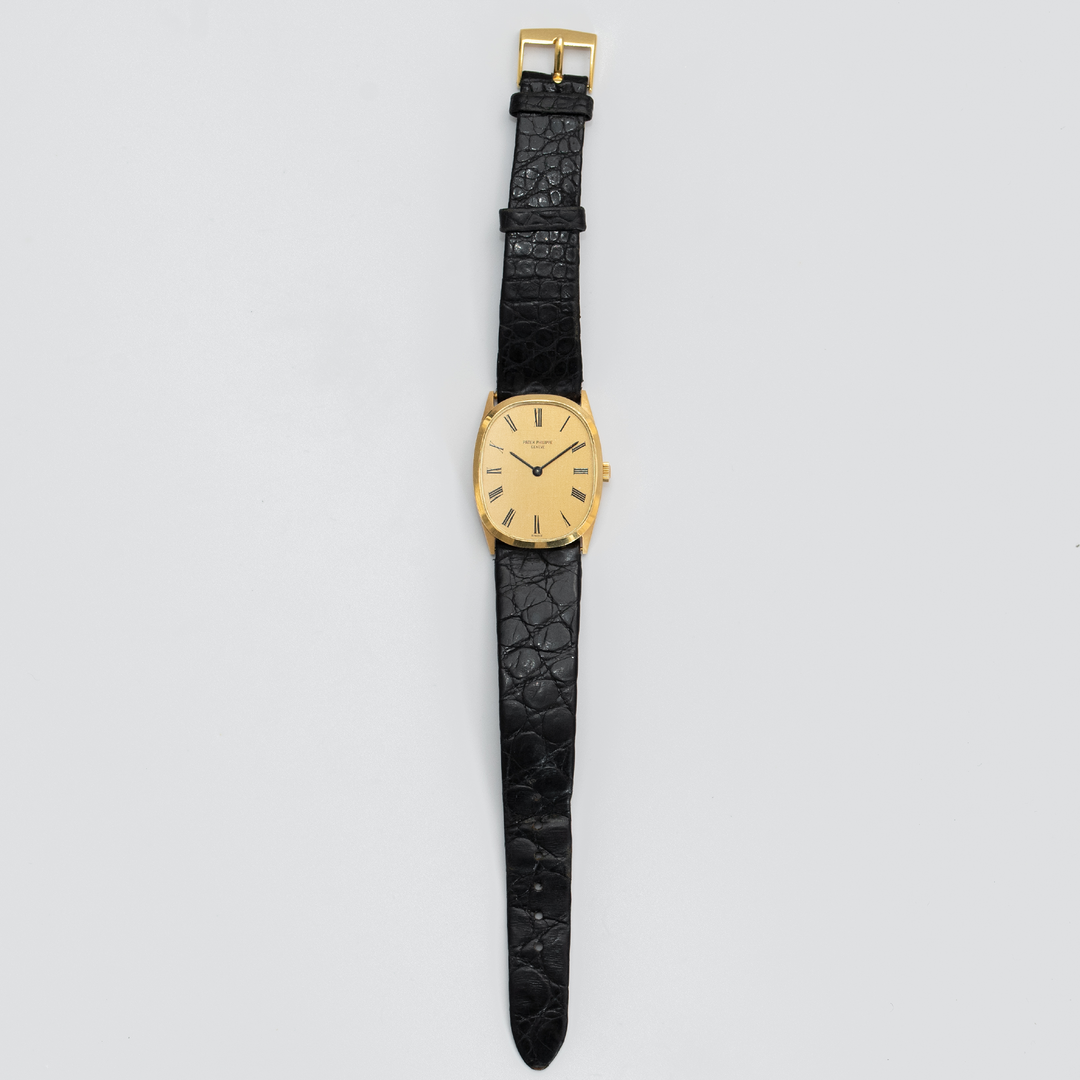 Patek Philippe Ellipse Roman Dial ref. 3546 - Consider the Wldflwrs