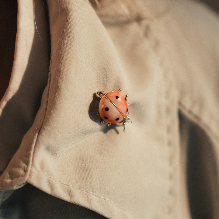 Ladybug Brooch - Consider the Wldflwrs