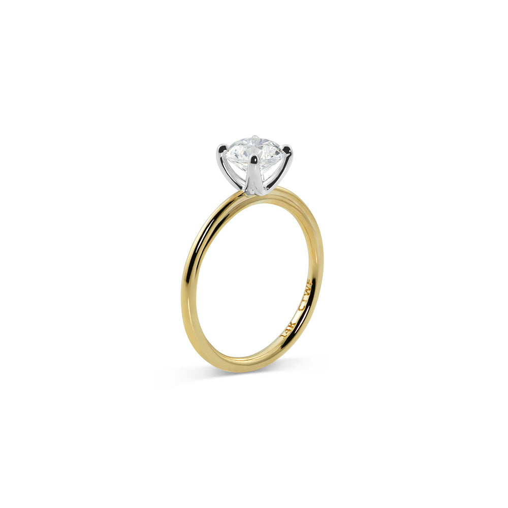 Ziza Engagement Ring - Consider the Wldflwrs
