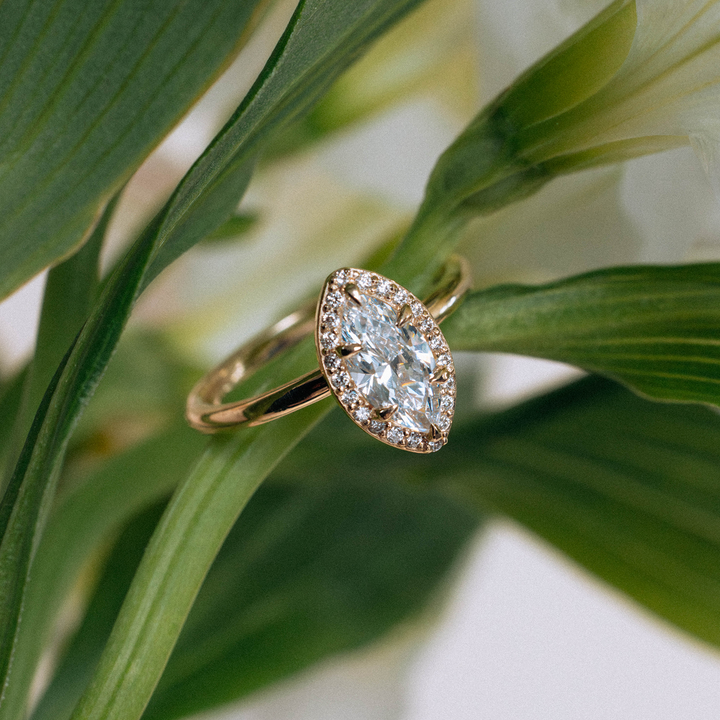 Daphne Engagement Ring - Consider the Wldflwrs